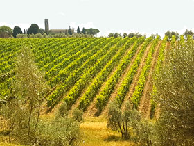 visites gastronomiques en Toscane