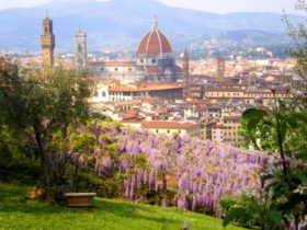 visites personnalisées à Florence